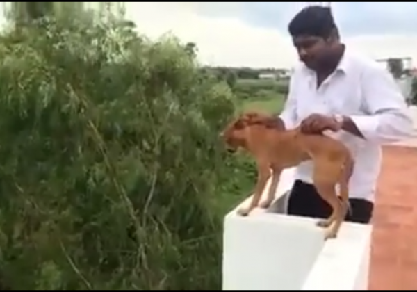 PETA Calls for Expulsion of Dog-Abusing Medical Students