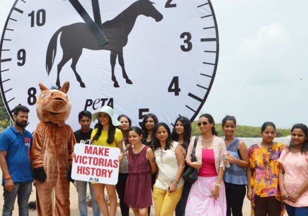Adah Sharma Wants Victorias off Mumbai’s Roads