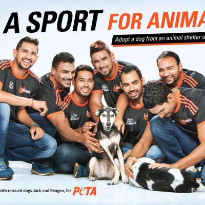 Pro Kabaddi Team U Mumba Encourages Adoption Of Homeless Dogs