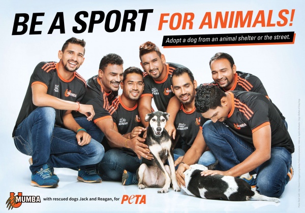 Pro Kabaddi Team U Mumba Encourages Adoption Of Homeless Dogs