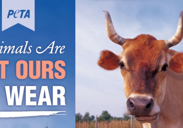 JD Institute of Fashion Technology, Bhubaneshwar ‘Says NO’ to Leather with PETA
