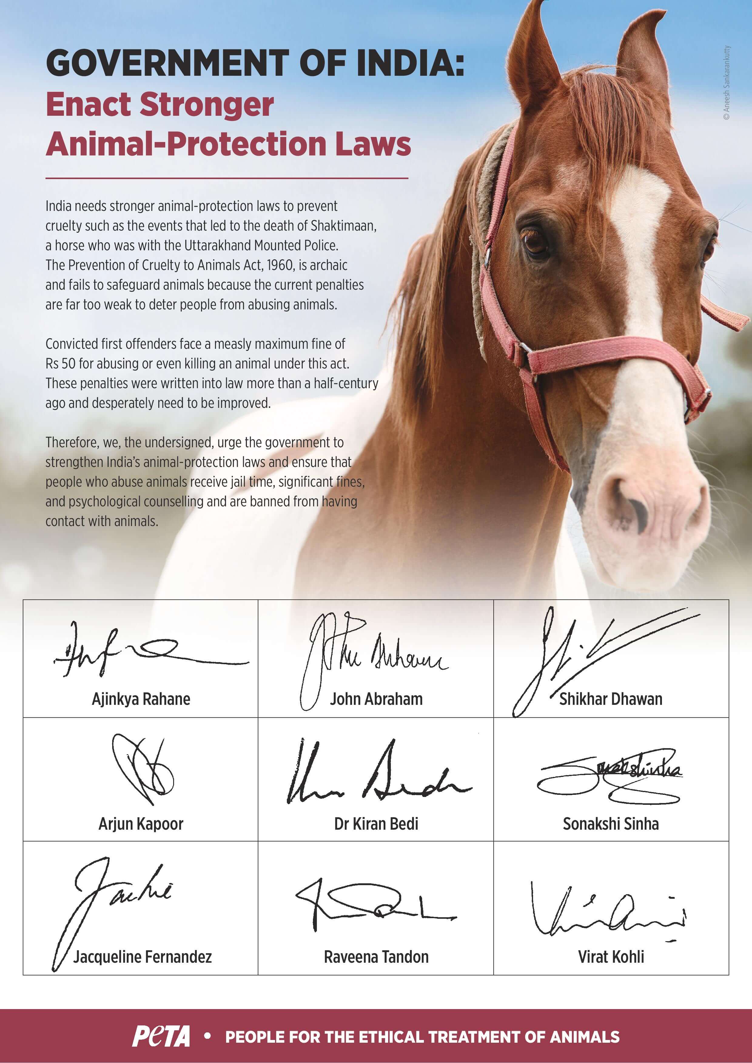 Stars Urge Government to Strengthen Animal-Protection Laws Stars Urge Government to Strengthen Animal-Protection Laws