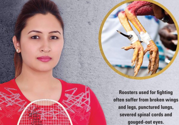 Badminton Star Jwala Gutta Says NO to Cockfighting