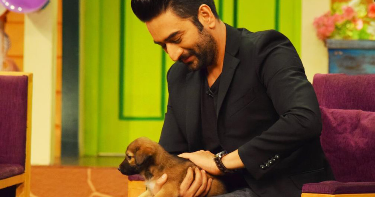 shekhar-pup-adoption-1200-by-630