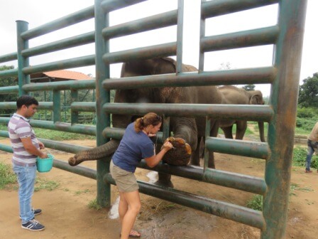 Protected-Contact Training Continues for Sunder’s Caretakers