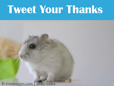 tweet-you-thanks-thumnail