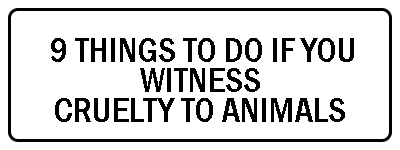 9-things-to-do-if-you-witness-cruelty-thumbnail-400x150
