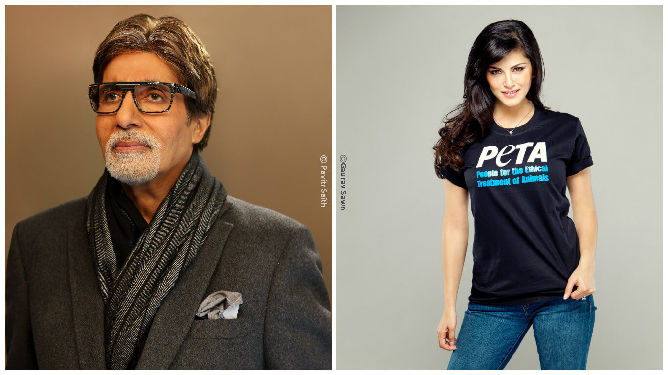 sunny-and-amitabh-collage