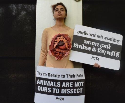 ‘Gutted’ Woman’s Plea: Reject Cruel Animal Dissection