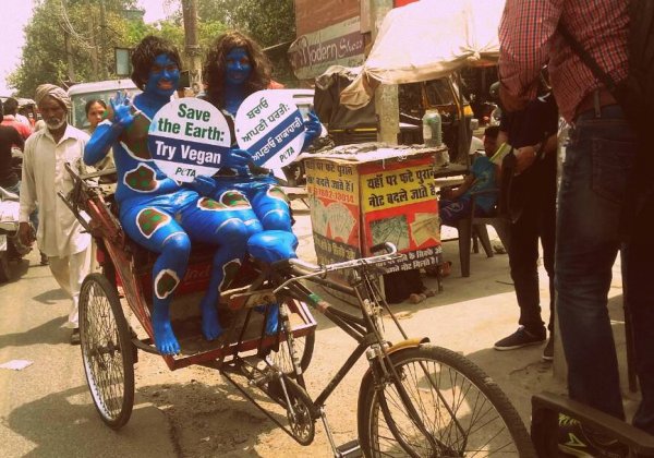Bodypainted Pair Want You to Go Vegan for the Earth