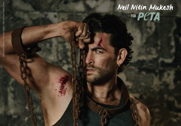 Neil Nitin Mukesh Shows How Elephants Are Beaten, Shackled, and Abused for Rides