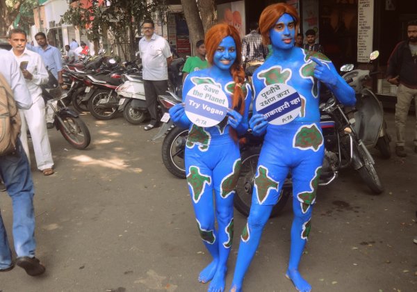 PETA Requests PM Modi To Serve Vegan Meals at Government Functions