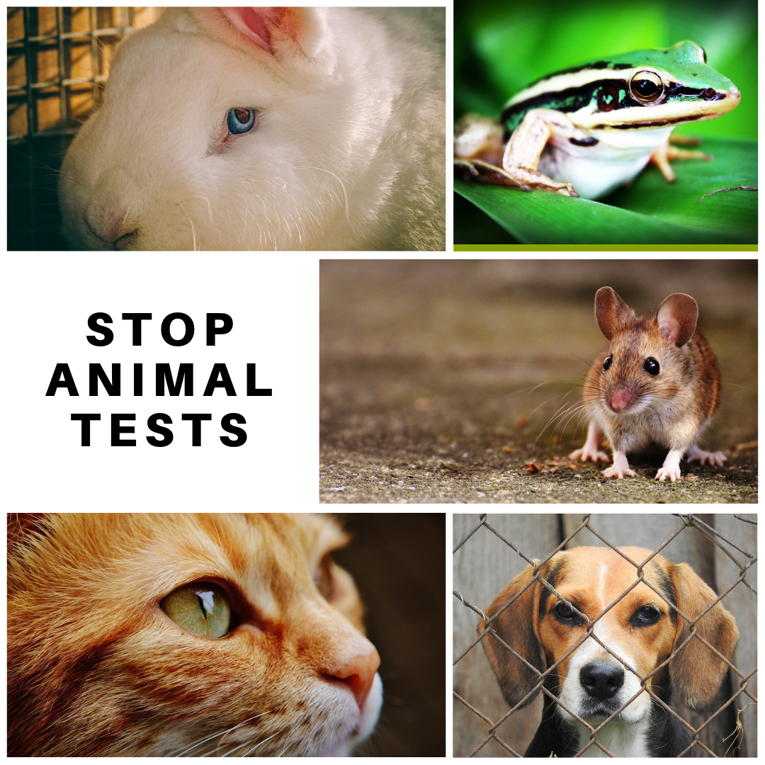Help Animals In Laboratories