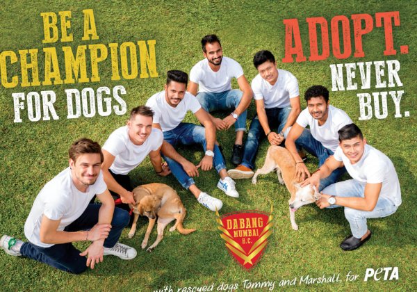 Dabang Mumbai Hockey Club Promotes Adoption of Homeless Dogs