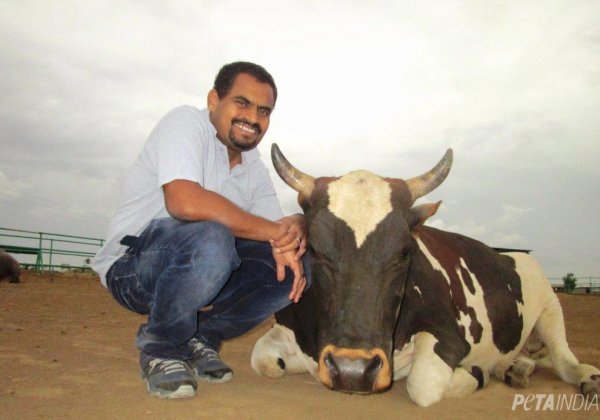 Vegan Veterinarian With 20 Years’ Experience Is PETA India’s New CEO