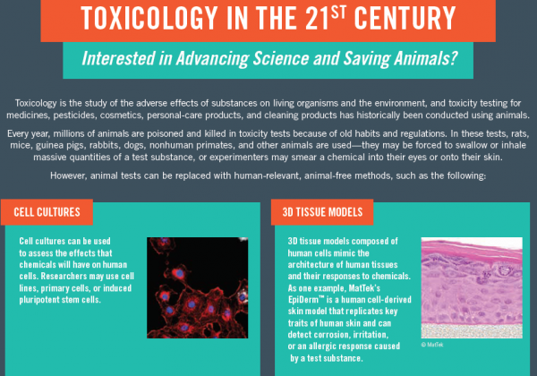 Chemical Toxicity Fact Sheet