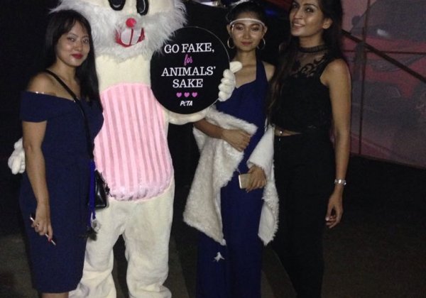 North East India Fashion Week Says ‘No’ to Wearing Animals