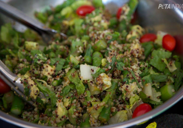 Chennai School Nabs PETA Award for Becoming India’s First Vegan School