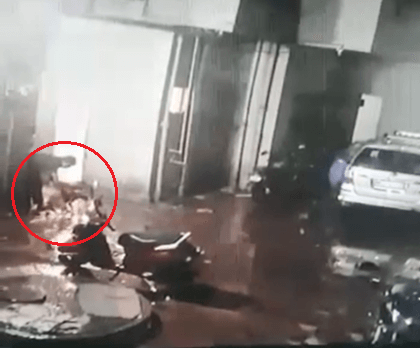 PETA Demands Police Action On Mumbai Man Thought to Sexually Abuse Dog