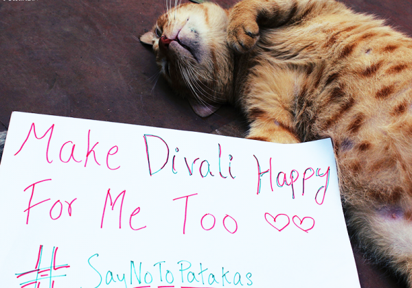 This Diwali, Say No to Patakas