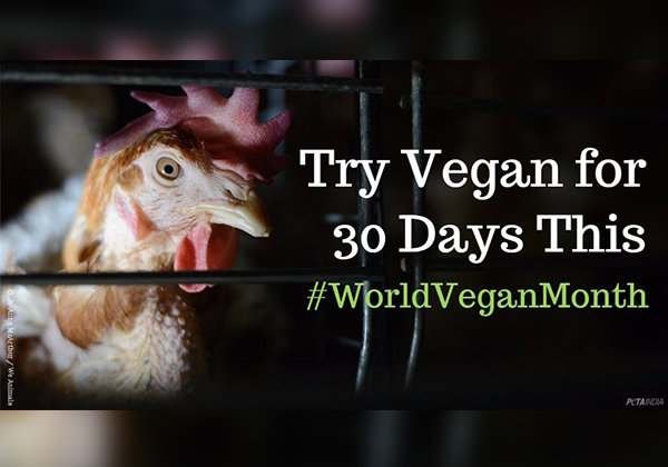 Take the 30-Day Vegan Challenge