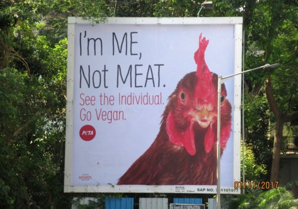 Selvel Donates Second Billboard for Chicken Empathy Campaign