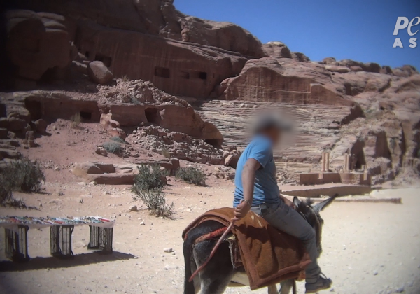 Animals Beaten and Whipped in ‘Lost City’ of Petra