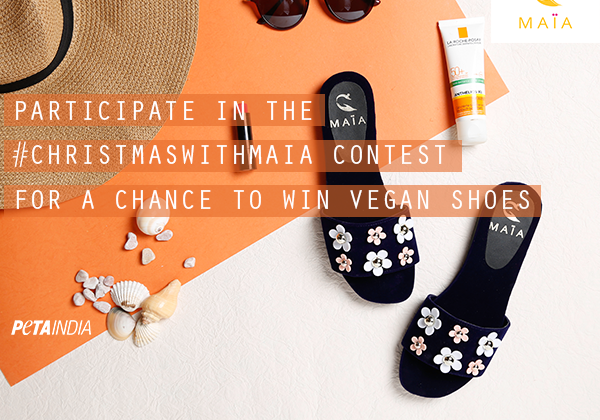 Enter PETA’s Maia Shoes Contest to Win a Pair of Vegan Shoes