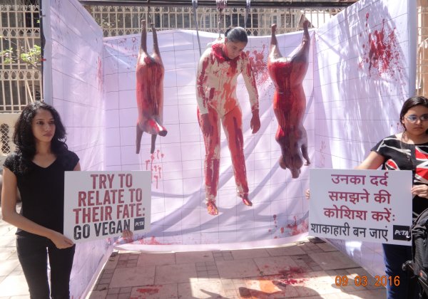 PETA India Uses Science to Urge IIT Bombay to Go Vegan