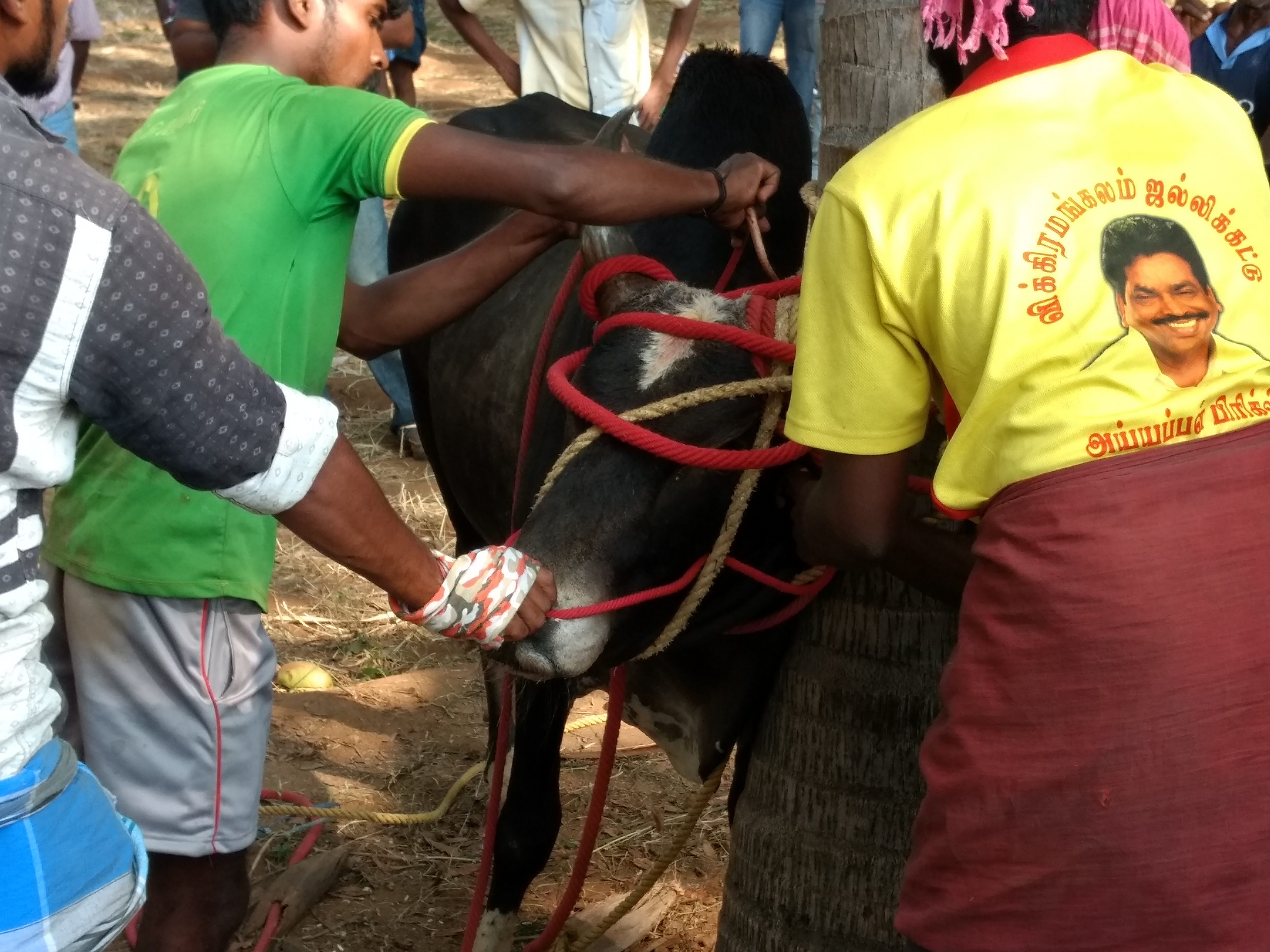 I Support Jallikattu Men's T-shirt