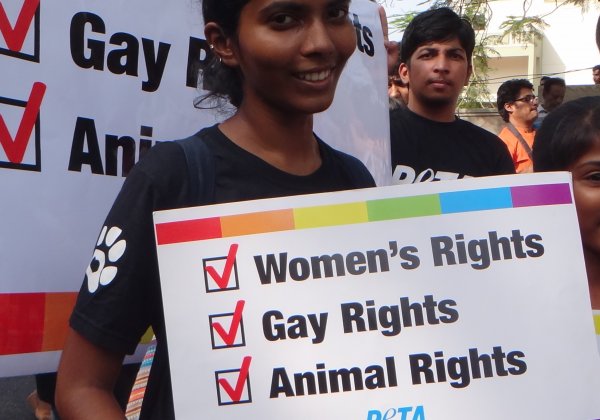 PETA India Remembers Our Volunteer,Anu Vidya