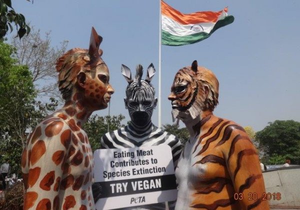 ‘Tiger’, ‘Zebra’, and ‘Giraffe’ Warn That Eating Meat Contributes to Species Extinction