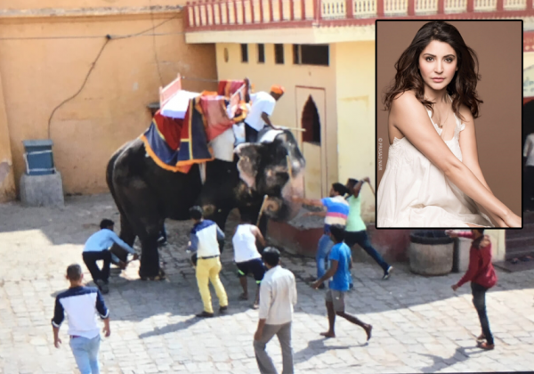 Anushka Sharma and other stars Horrified by Jaipur Elephant Beating