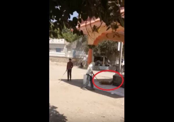 Following PETA Complaint, Junagadh Police Register FIR Against Dog Killers