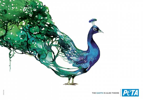 Garicature’s Colourful Images Remind Humans to Share the World