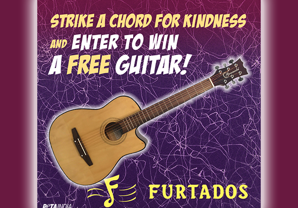 Strike a Chord for Kindness, and Enter to Win a Guitar From Furtados!