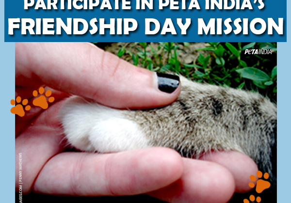 Tell Us About Your Rescued Animal Companion for Friendship Day