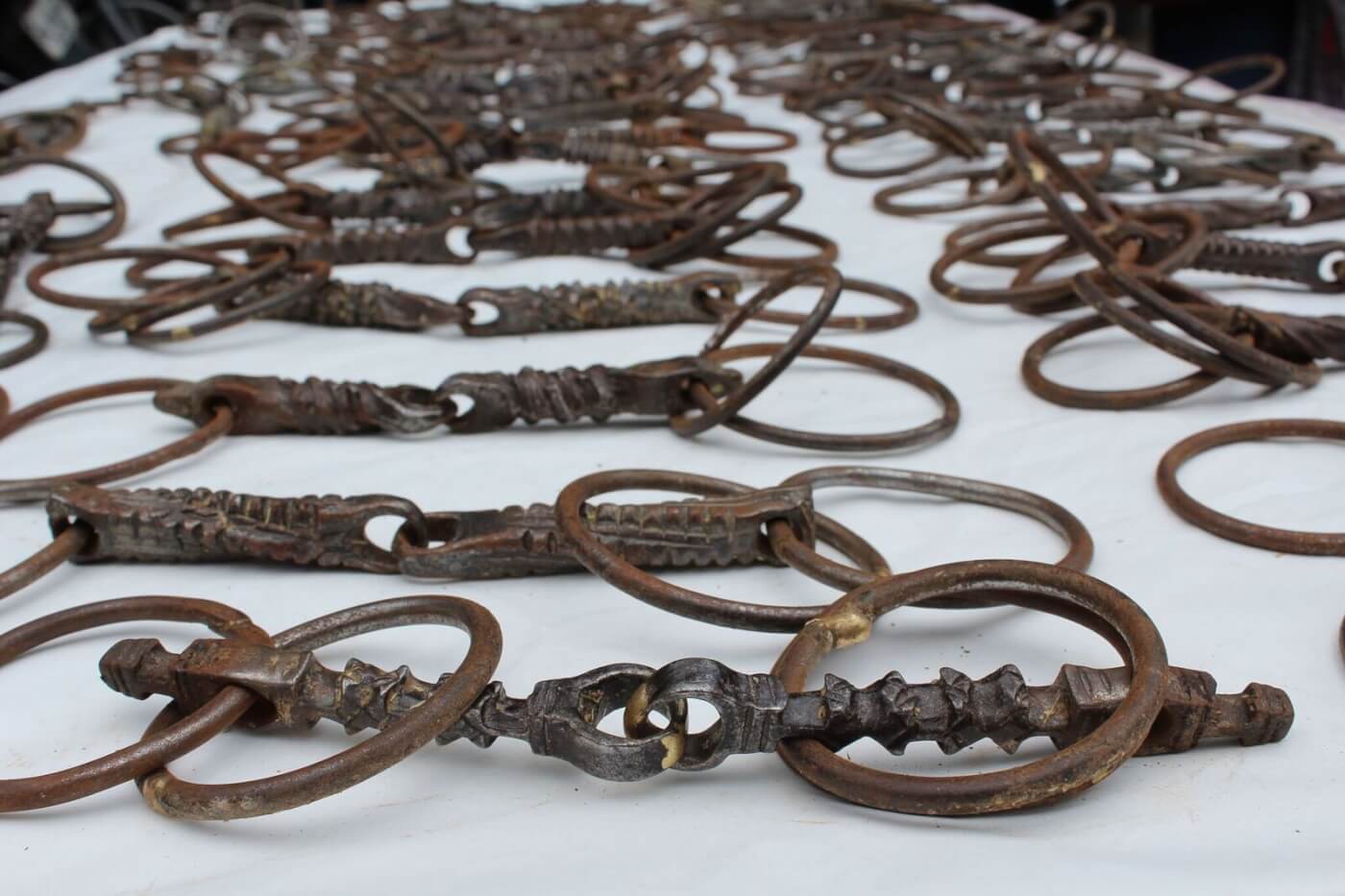Delhi Police and PETA India Display Over 50 Seized Spiked Bits Used To Control Horses in Weddings