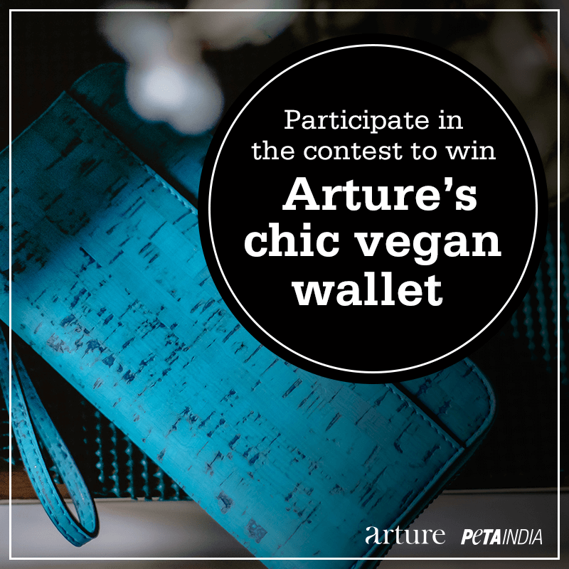 Win a Sustainable Vegan Fashion Wallet by Arture