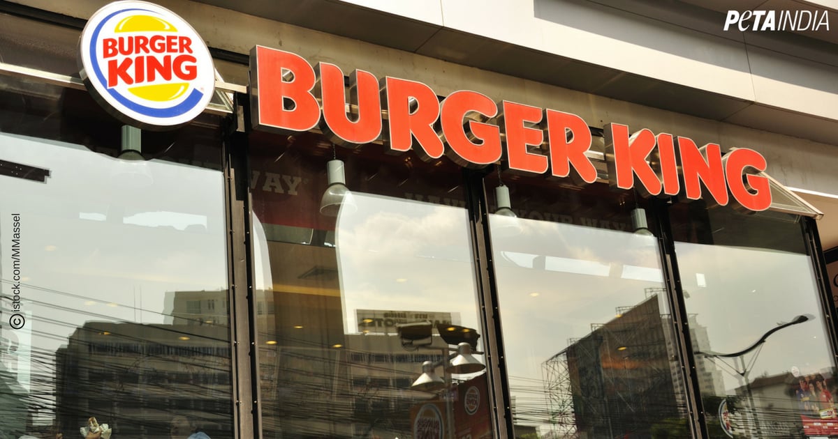 Urge Burger King for a Vegan Whopper in India