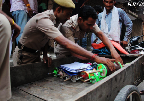 Delhi Police Hear From PETA India, Seize Banned Manja From City Shops