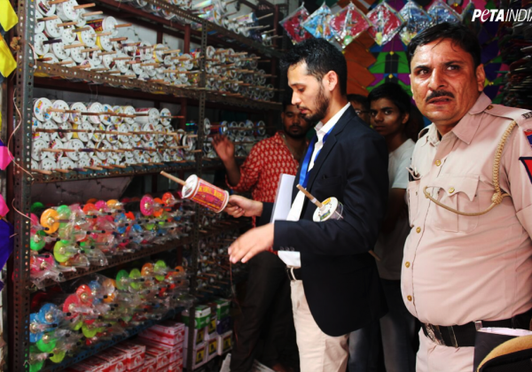 PETA से मिली जानकारी के उपरांत, दिल्ली पुलिस ने शहर की दुकानों से काँच का लेप चढ़ा सूती मांजा जब्त किया