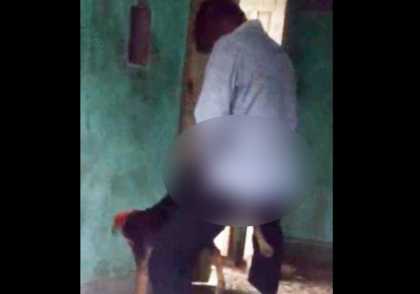PETA इंडिया की शिकायत पर जयपुर पुलिस ने कुत्ते के साथ बलात्कार के जुर्म में आरोपी को गिरफ्तार किया