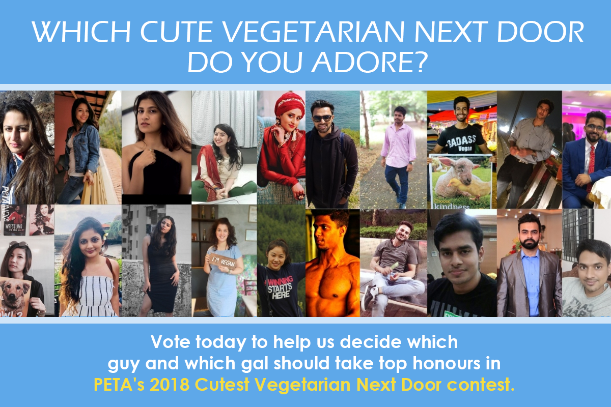 Who Is the Cutest Vegetarian Next Door? Help Us Decide