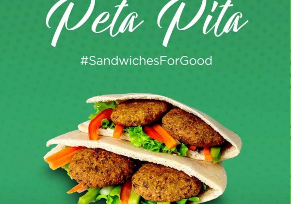 PETA Pita—The Ethical Sandwich