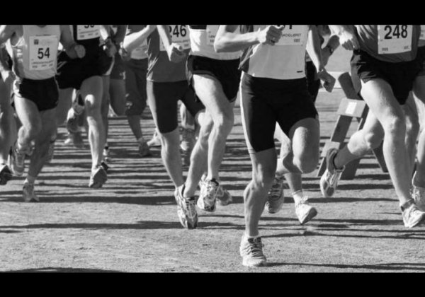 Racing for Animal Rights-Here’s How You Can Support PETA India In The Airtel Delhi Half Marathon!