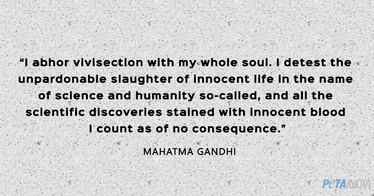 These Mahatma Gandhi Quotes Will Inspire You - Blog - PETA India These Mahatma Gandhi Quotes Will Inspire You - Blog - PETA India