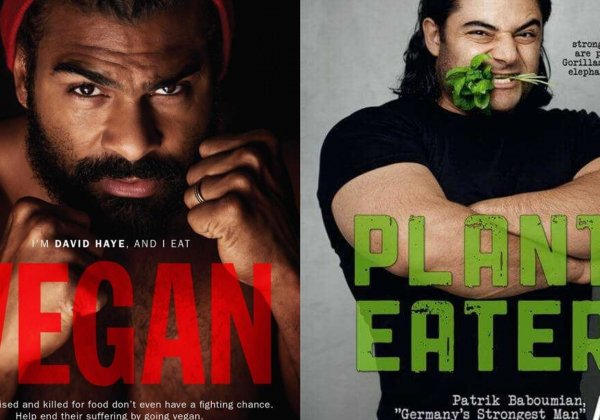 Star Athletes Fuel Up on Vegan Foods