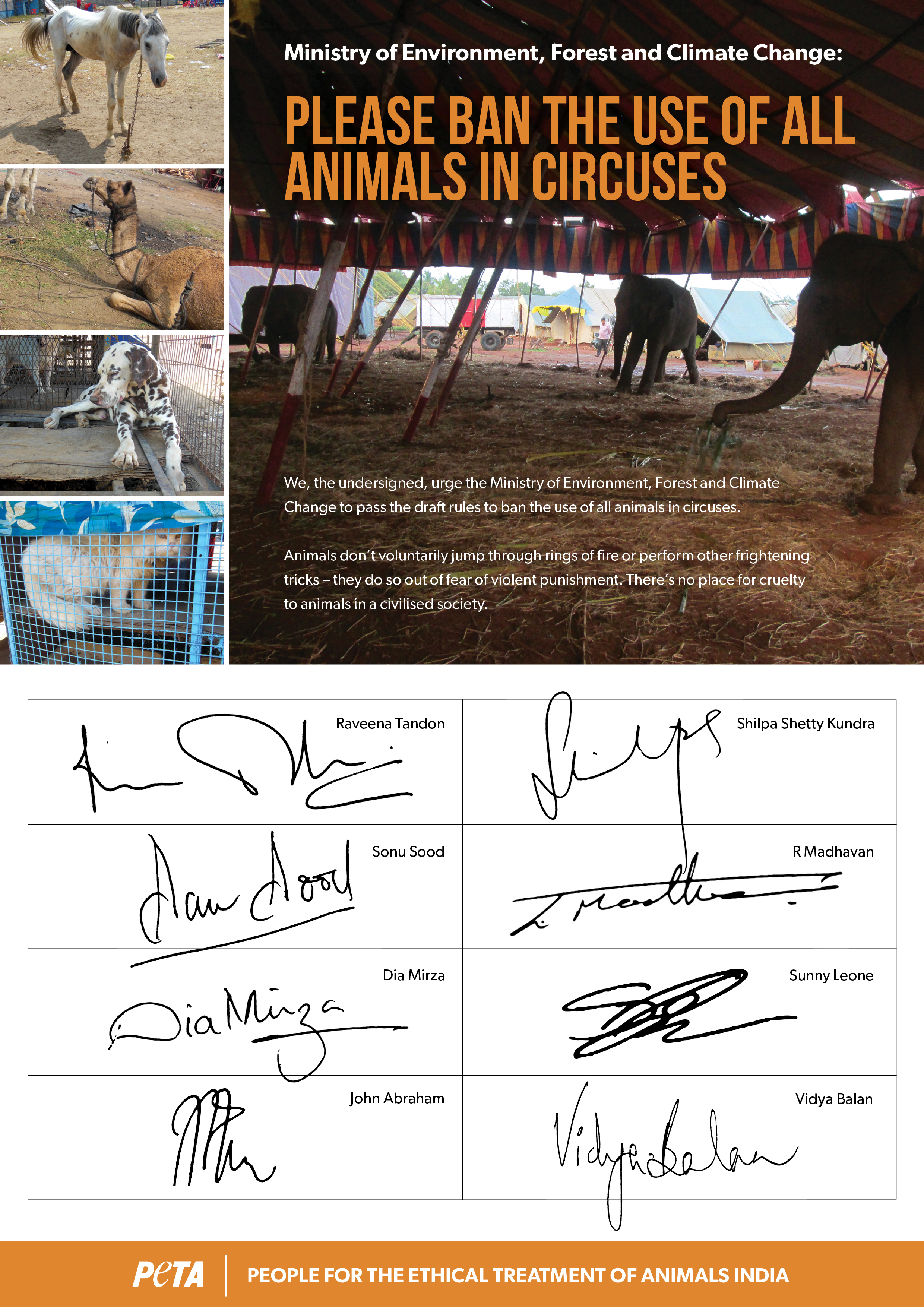 Stars and More Than 8,000 Students Back Government Proposal to Ban Animal Circuses - Blog - PETA India Stars and More Than 8,000 Students Back Government Proposal to Ban Animal Circuses - Blog - PETA India
