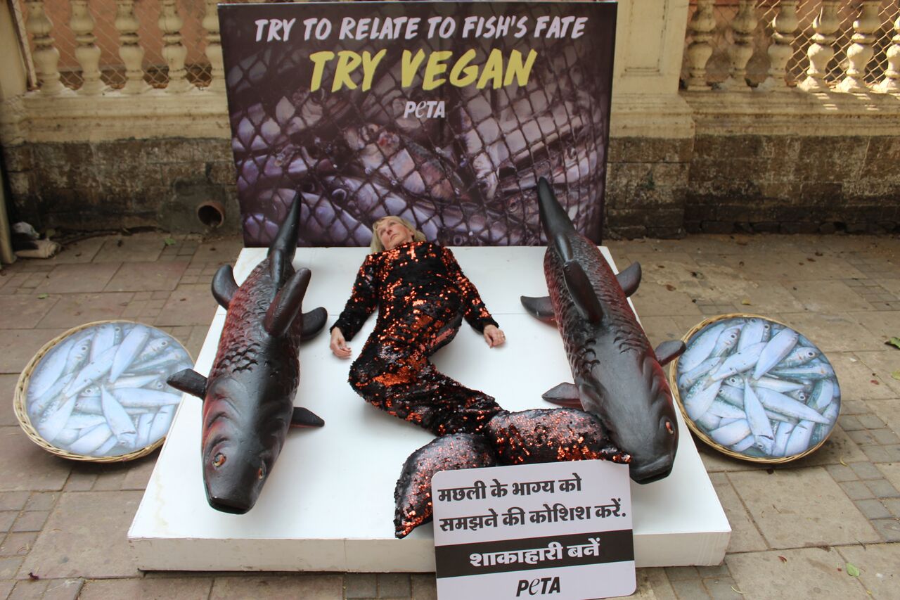 PETA India Founder Takes Fish's Place in Mumbai Animal Rights Day Appeal -  Blog - PETA India